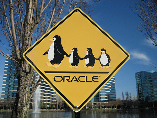 Oracle Linux greatly simplifies your IT environment, while also helping you get high performing engineered infrastructure.