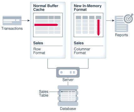 An image of Dual-Format Database.
