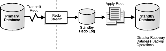 Image shows how a typical Oracle Data Guard configuration that contains a primary database that transmits redo data to a standby database.
