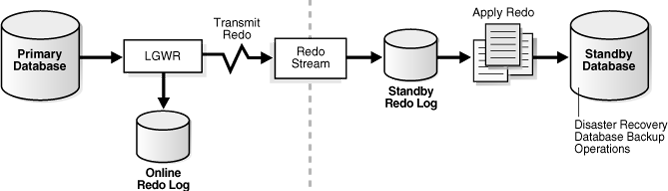 Image shows a typical Data Guard configuration that contains a primary database that transmits redo data to a standby database.